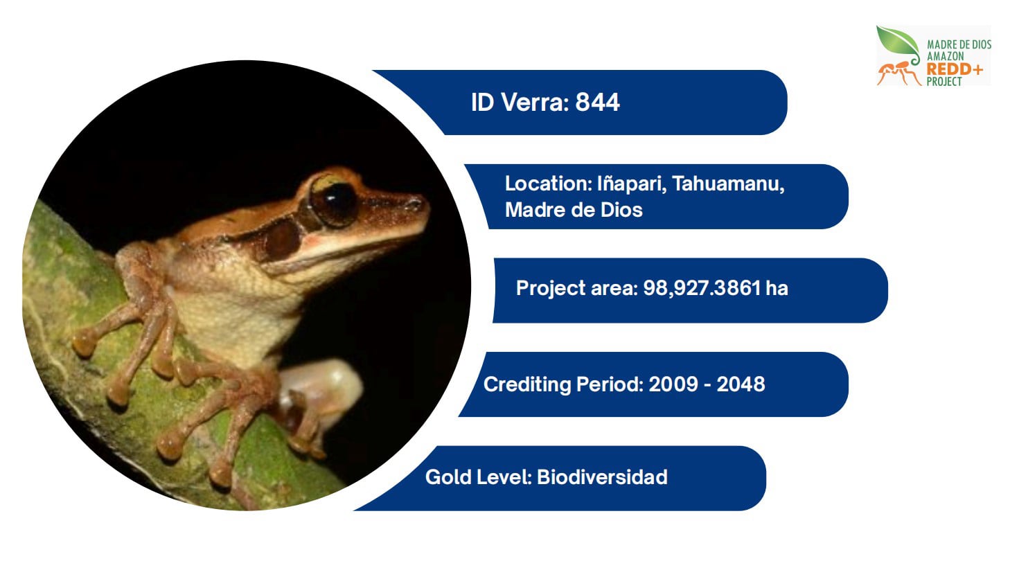 verra